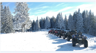 atv predeal 12