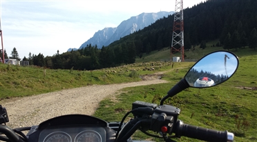 atv predeal 3