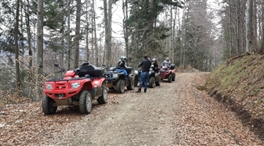 atv predeal 4