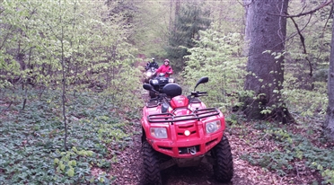 atv predeal 5