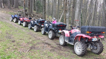 atv predeal 6