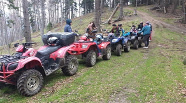 atv predeal 7