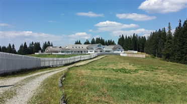 atv-uri predeal 1