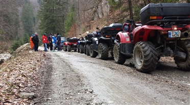 inchiriere atv 1