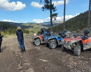 atv predeal inchirieri